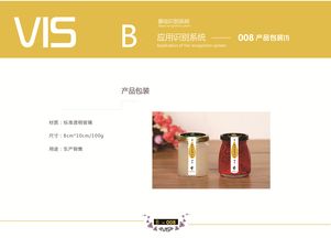 企業(yè)形象VI設(shè)計(jì) 策略與視覺(jué)的統(tǒng)一